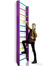 Шведская стенка SportBaby Purple 0-220